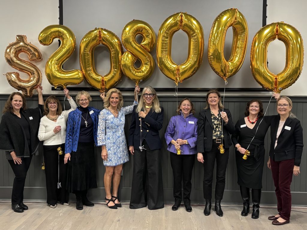 impact 100 organization